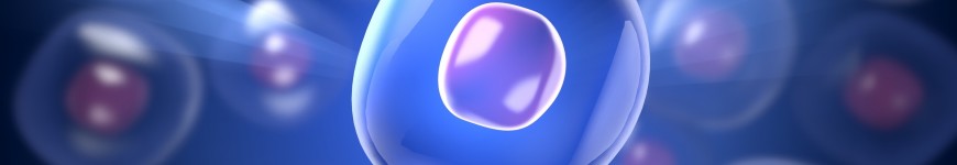 Cells