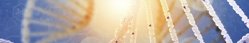 DNA